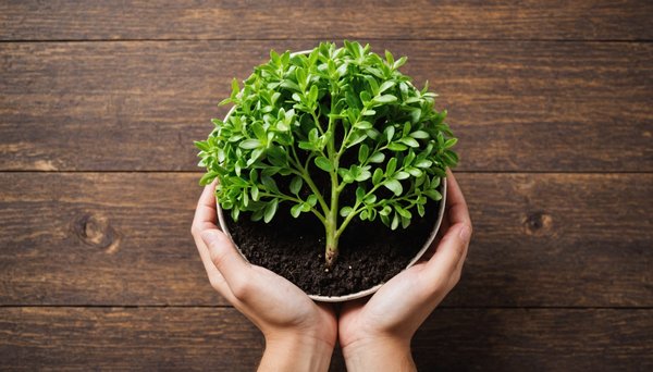 Optimisez votre stratégie marketing pour une croissance durable